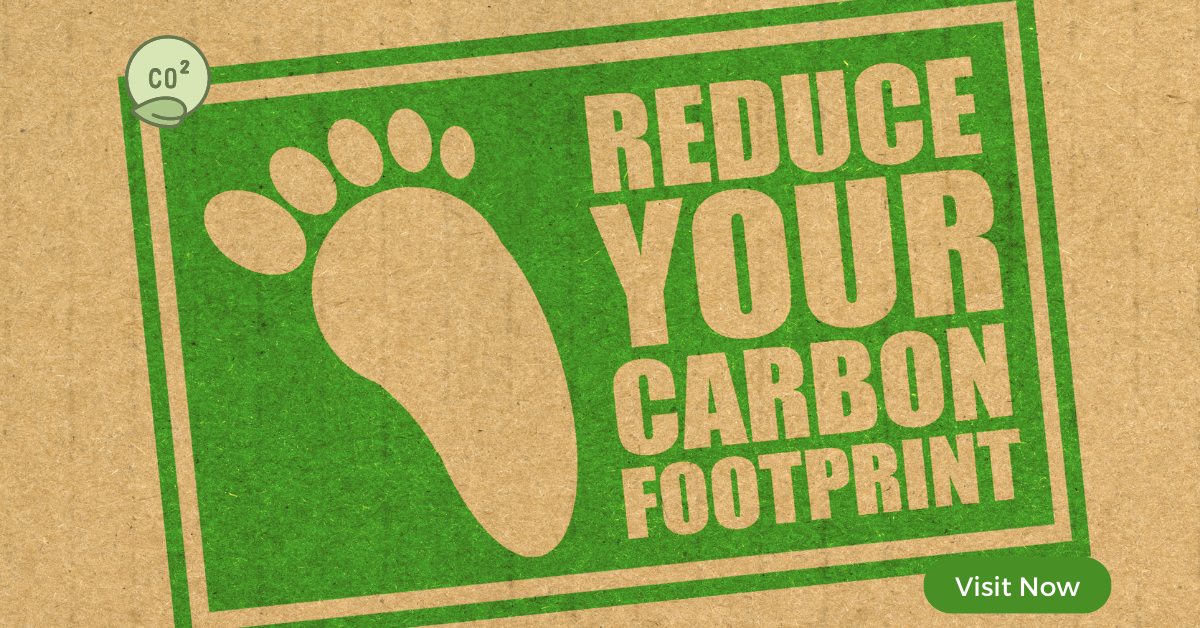 Reducing Your Carbon Footprint: Practical Steps for a Sustainable Future